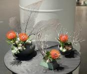 14 - Christiane Ryan.jpg 5.7K